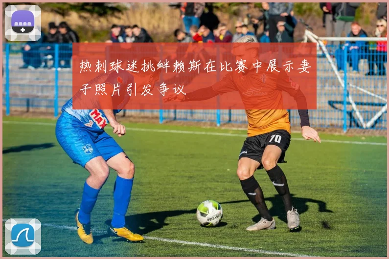 热刺球迷挑衅赖斯在比赛中展示妻子照片引发争议